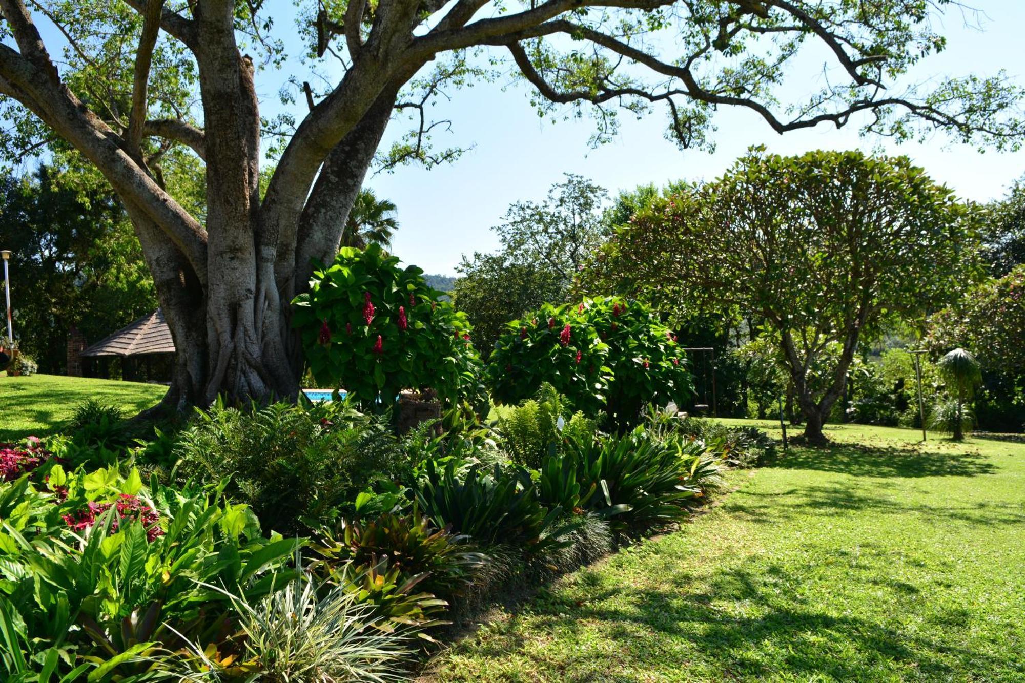 Villa Oppi Plaas à Hazyview Extérieur photo